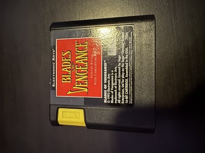 Blades of Vengence Sega Genesis